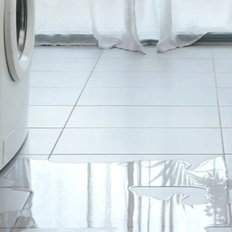 Appliance Leak Cleanup in Sebastian, FL