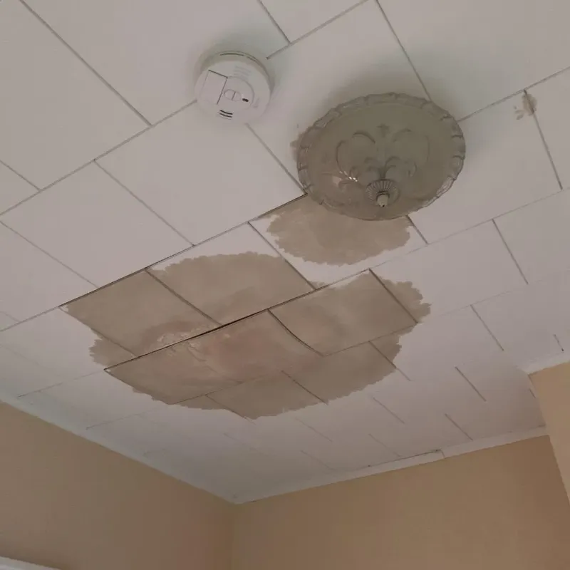 Ceiling Water Damage Repair in Sebastian, FL